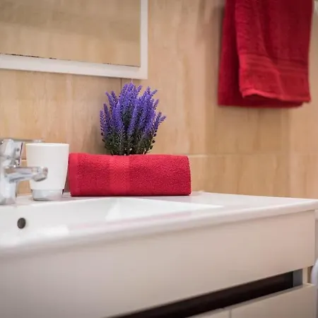Appartement Jacaranda *